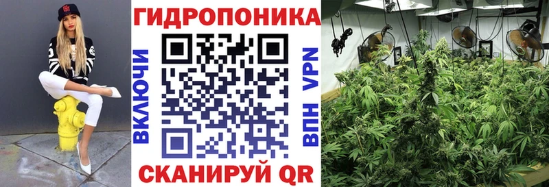 Купить закладку Дигора Амфетамин A-PVP Мефедрон Канабис Гашиш