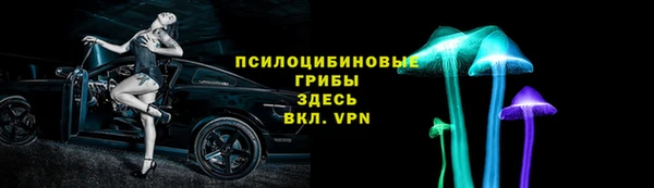 ГАЛЛЮЦИНОГЕННЫЕ ГРИБЫ Володарск