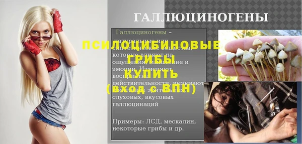 a pvp Вяземский