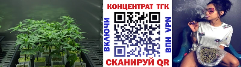 ТГК концентрат  Дигора 