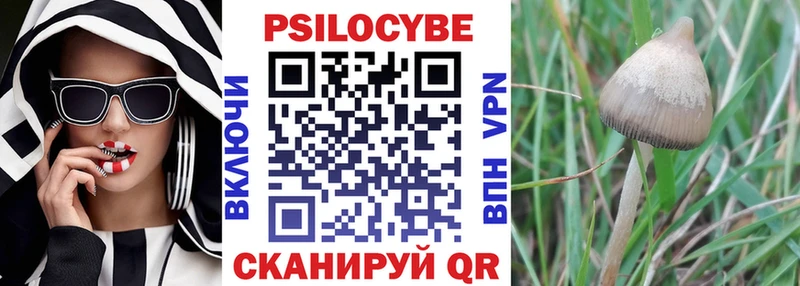 Галлюциногенные грибы MAGIC MUSHROOMS  kraken tor  Дигора  купить наркоту 